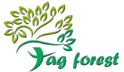 FAG INTERNATIONAL SRL