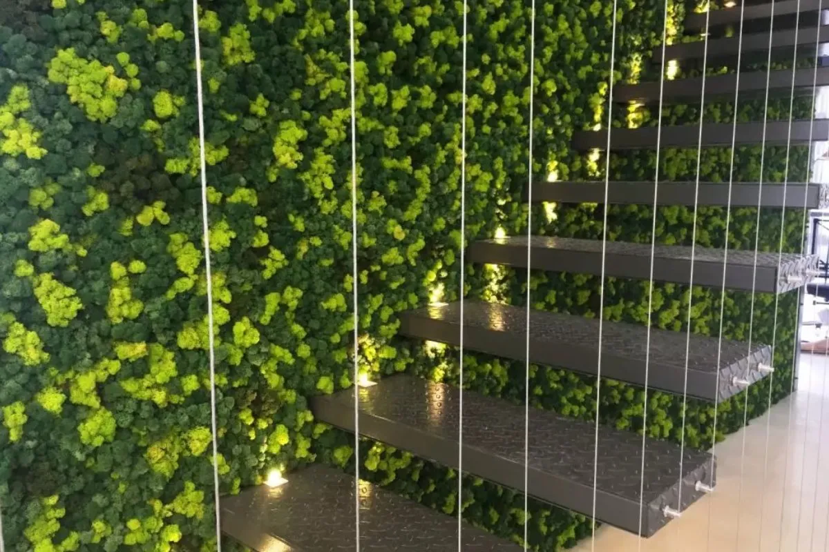 Plante si pereti verzi pentru interior