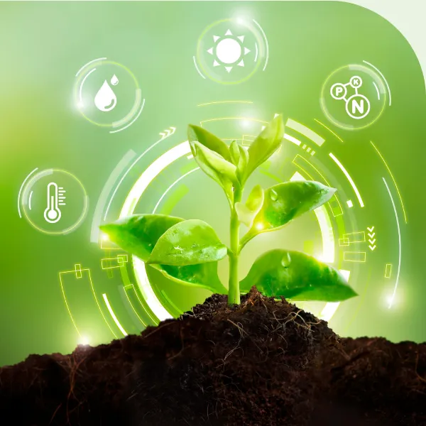 Studiu de caz: RDF își digitalizează activitatea cu ELIAN Solutions și trece la agricultura de precizie