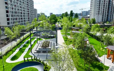 Am deschis Parcul Liniei 2, singurul din București cu pădure urbană și spații de lucru în aer liber