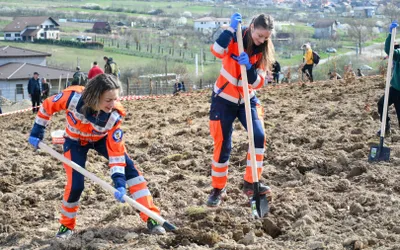 „Bihorul Plantează”, un nou proiect pentru un județ mai verde