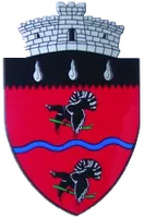 PRIMĂRIA CÂRLIBABA