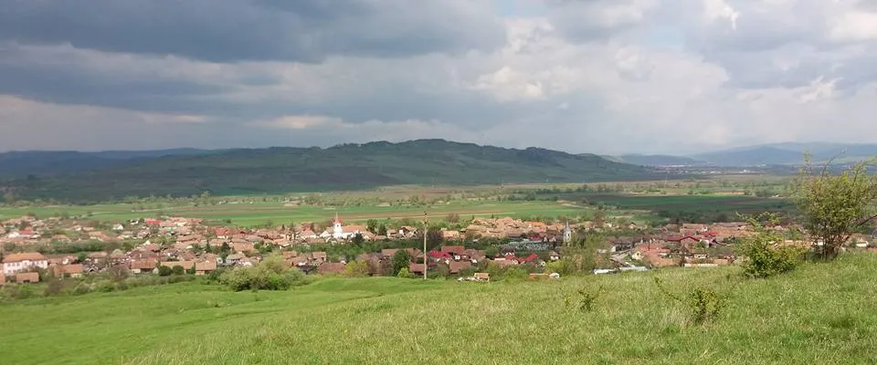 PRIMĂRIA VÂNĂTORI