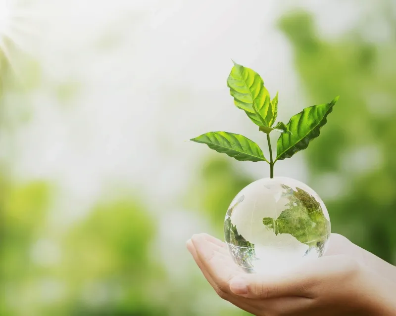 De la deșeu la materie primă. Cum face Expert Recycling managementul și valorificarea deșeurilor