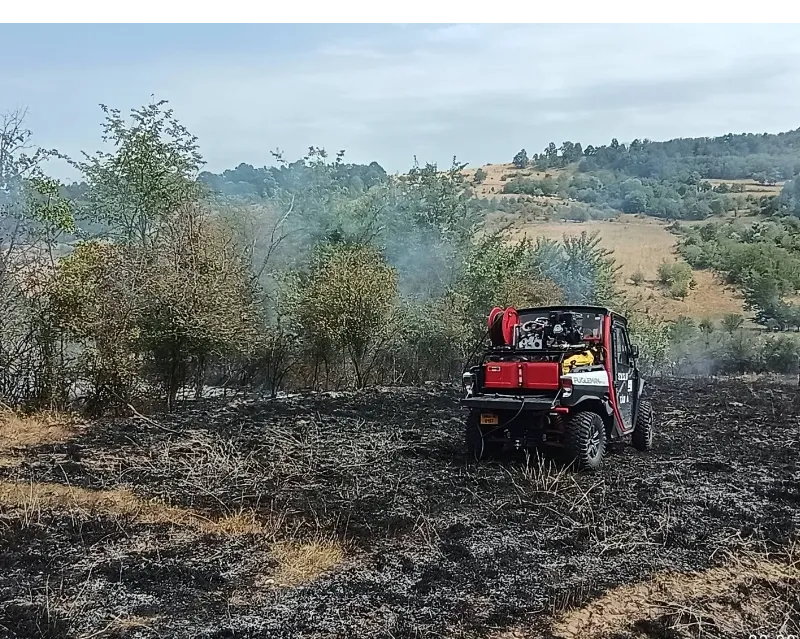 Incendiile de pădure de la Băile Olănești și Domogled arată cât contează accesul pe teren greu