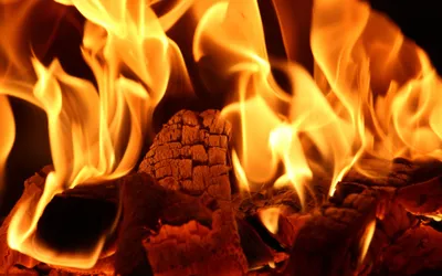 DAS Deva: Peste 60 de familii și persoane primesc ajutorul de încălzire și suplimentul pentru energie cu combustibili solizi