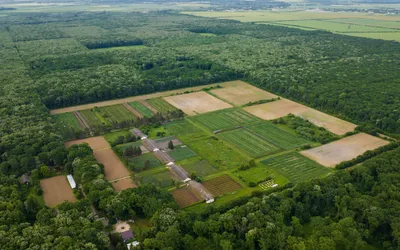 Prioritățile de Dezvoltare Locală ale Administrației din Carcaliu