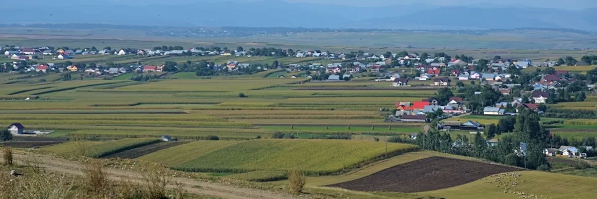 PRIMĂRIA PĂTRĂUŢI