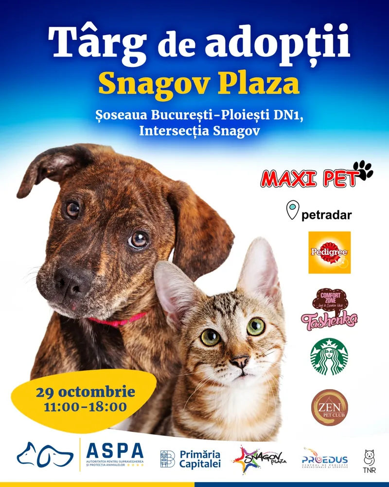 Primăria Municipiului București organizează sâmbătă, 29 octombrie un nou târg de adopții