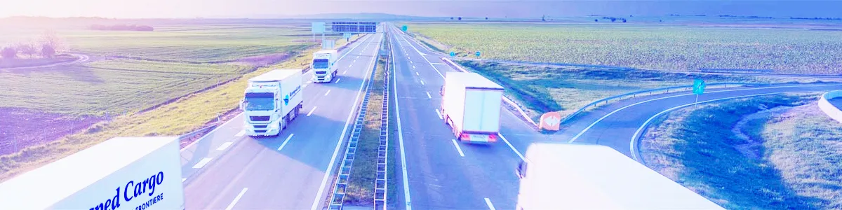 ROMSPED CARGO SRL