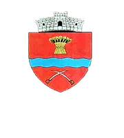 PRIMĂRIA ŞIBOT