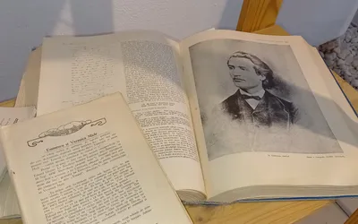 Ziare și cărți istorice, la un click distanță