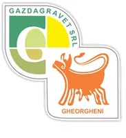 GAZDAGRAVET SRL