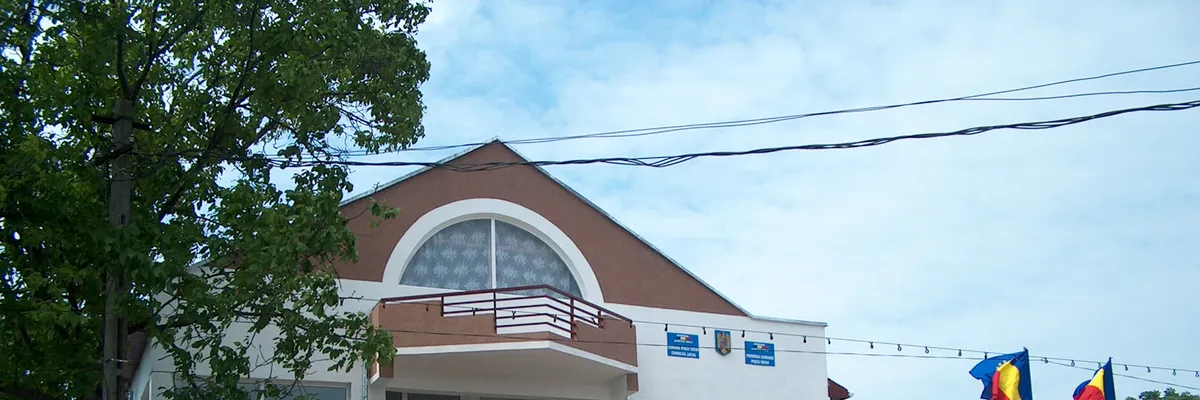 PRIMĂRIA PISCU VECHI