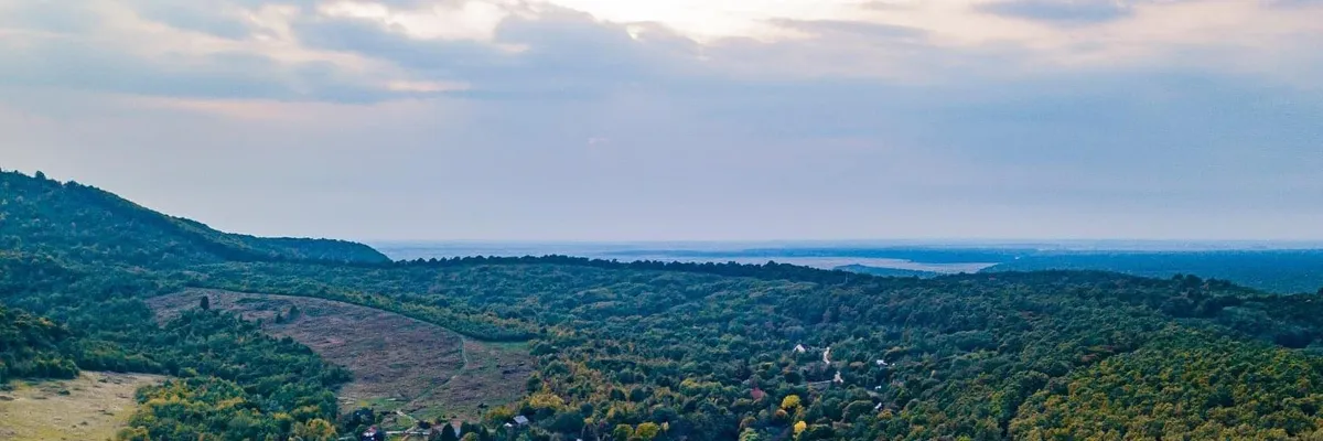 PRIMĂRIA ORAŞU NOU