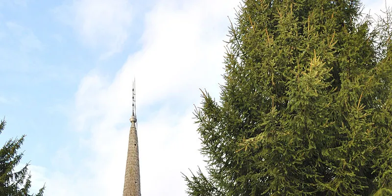 PRIMĂRIA CĂLINEŞTI