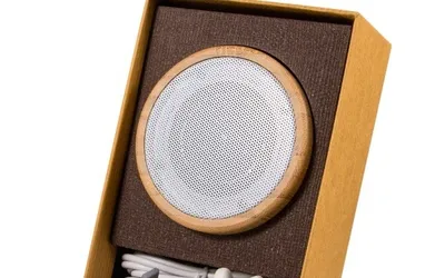 Muzica Plantelor – „Ginkgo” – dispozitivul care dă glas plantelor - ofertă - Crăciun \'23