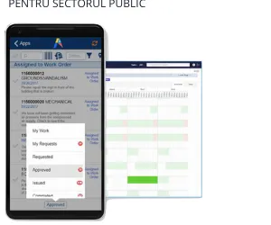 SOLUȚII SOFTWARE PENTRU GESTIONAREA ACTIVELOR DIN SECTORUL PUBLIC