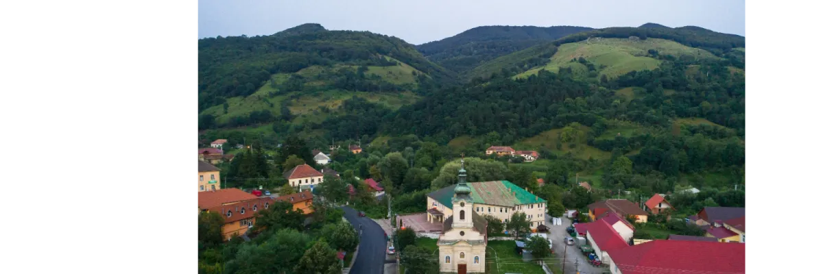 PRIMĂRIA CORNEREVA