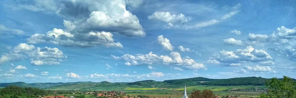 PRIMĂRIA PĂSĂRENI