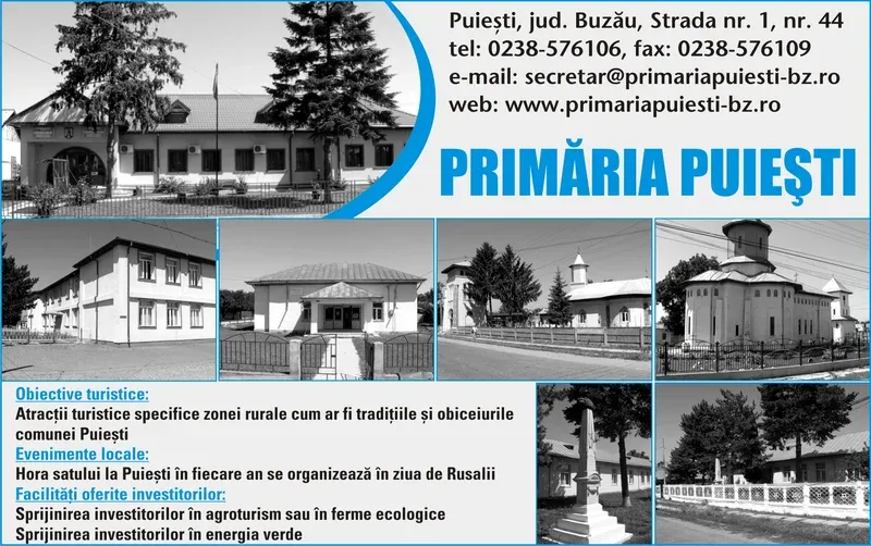 PRIMĂRIA PUIEŞTI