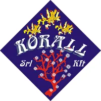 KFT KORALL SRL