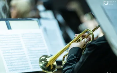 Proiecte culturale transfrontaliere România - Ungaria, cu fonduri europene