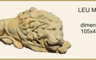 ELEMENTE DECORATIVE -