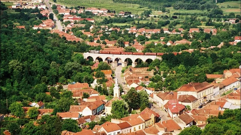 Evaluarea contingentă a patrimoniului construit într-un oraș mic: Oravița