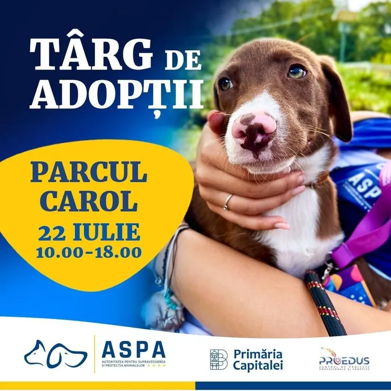 Târg de adopții pentru căței – 22 iulie, Parcul Carol I