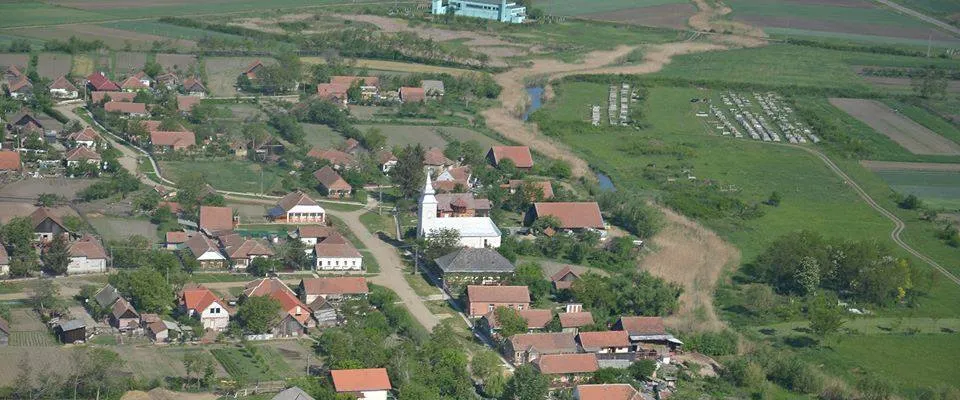 PRIMĂRIA DOBA