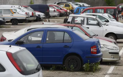 Rabla local, la Primăria Sectorului 6: iată cât de simplu se pot înscrie cei 1.090 de cetățeni înregistrați la AFM!