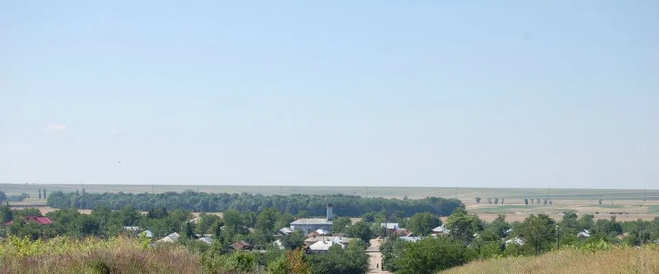 PRIMĂRIA NENCIULEŞTI