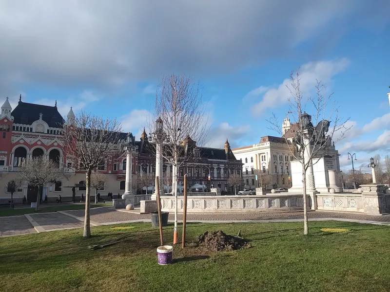 A început plantarea mestecenilor în Piața Unirii
