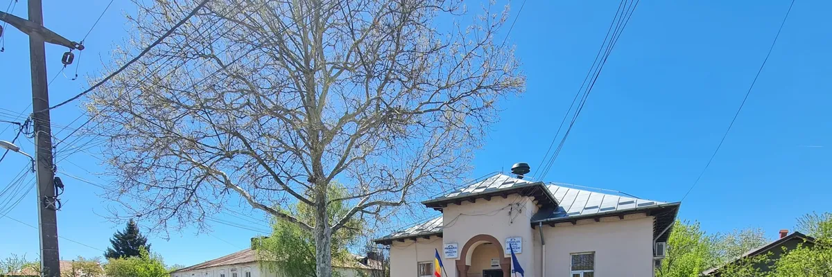 PRIMĂRIA BRINCENI