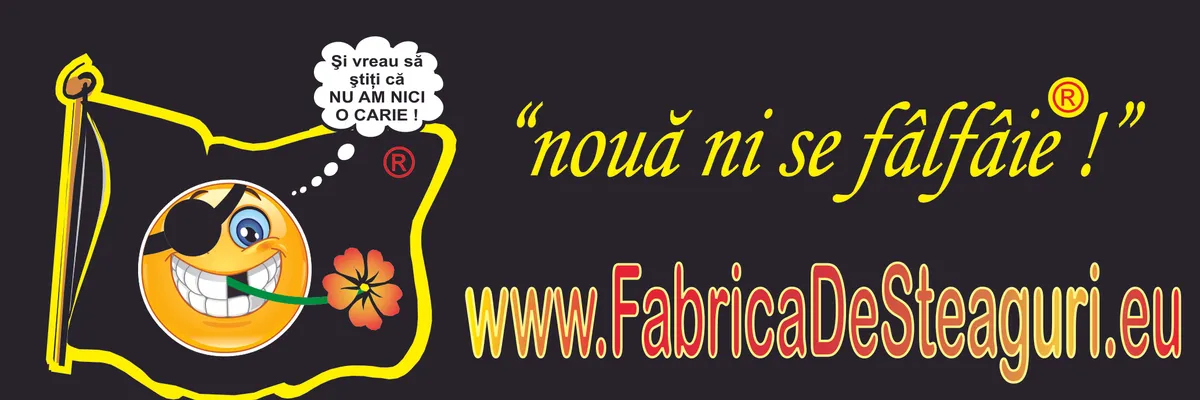 FABRICA DE STEAGURI SRL