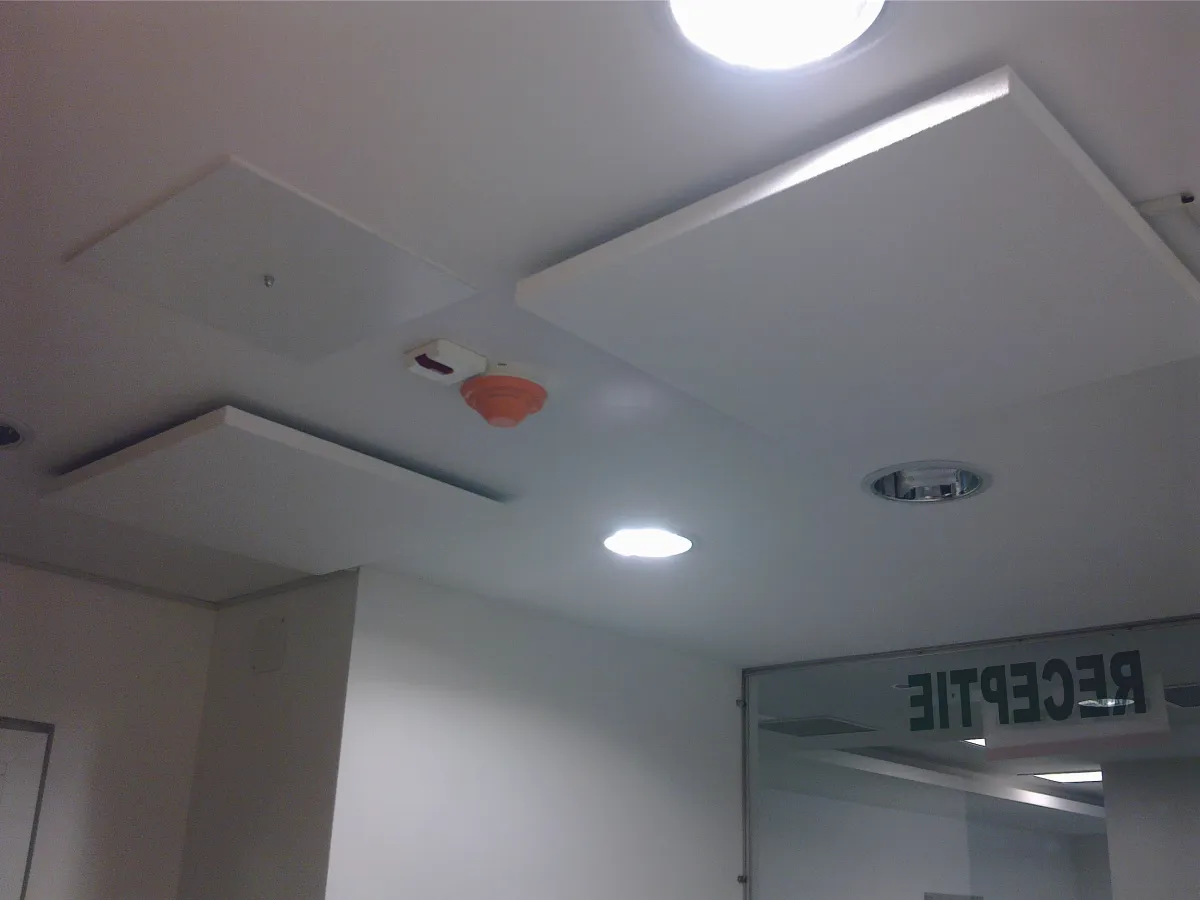 Panou radiant infrarosu 700W pentru 12mp