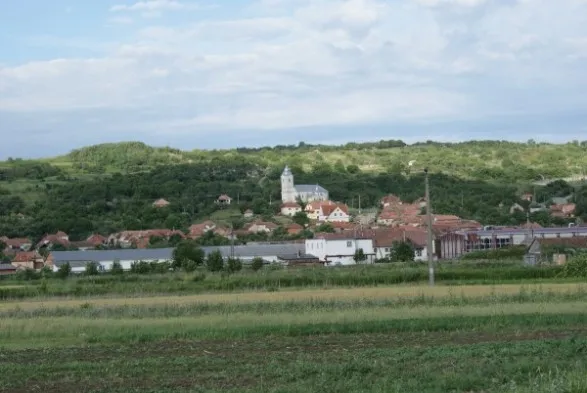 PRIMĂRIA ŞĂRMĂŞAG