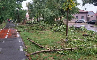 Primăria a inventariat pagubele produse pe domeniul public, în  urma furtunii de săptămâna trecută