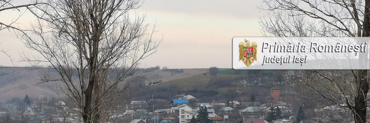PRIMĂRIA ROMÂNEŞTI