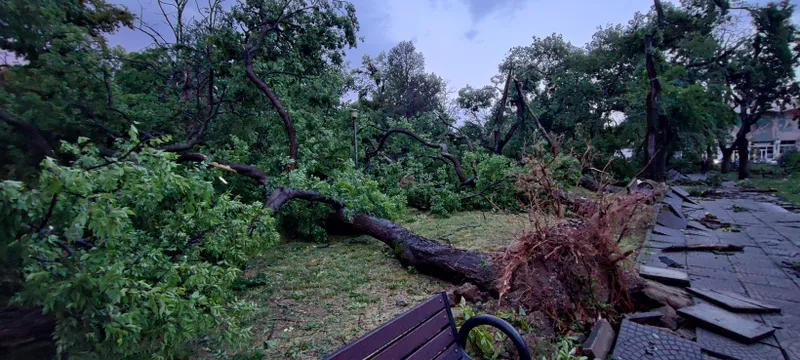 Informații și precizări importante, ca urmare a vijeliei: cum intervine Primăria Oradea, obligații ale cetățenilor, numere utile de telefon