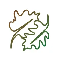 PARCHET PE VIATA SRL