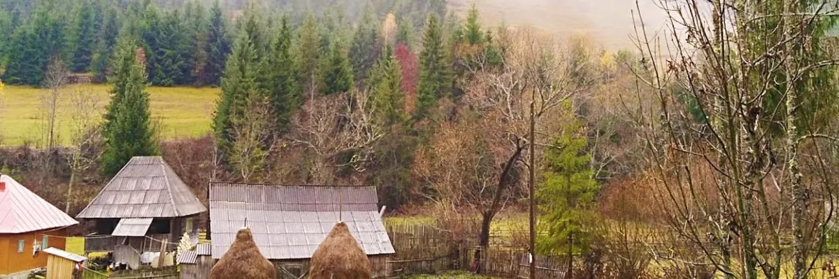 PRIMĂRIA VADU MOŢILOR