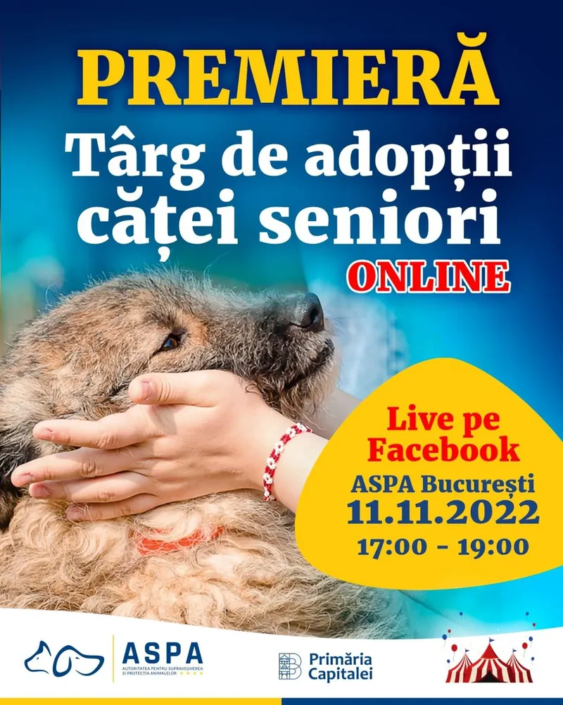 Premieră. Târg online pentru cățeii seniori din centrele ASPA