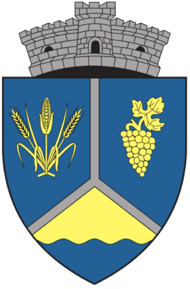 Viziune de primar:  Ing. Tache Constantin, primarul comunei Ghidici, județul Dolj