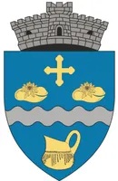 PRIMĂRIA MIHĂEŞTI