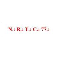NEW REAL TIME CONSULTING 77 S.R.L.