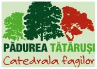 PRIMĂRIA TĂTĂRUŞI