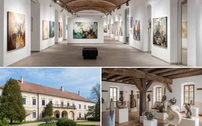 Program cultural al Consiliului Județean Timiș pentru 5–11 octombrie: vernisaje, expoziții și lansare de carte