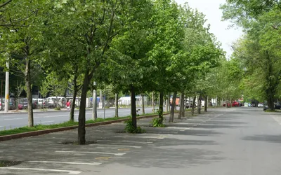 500 de locuri de parcare create de Primăria Sectorului 3!